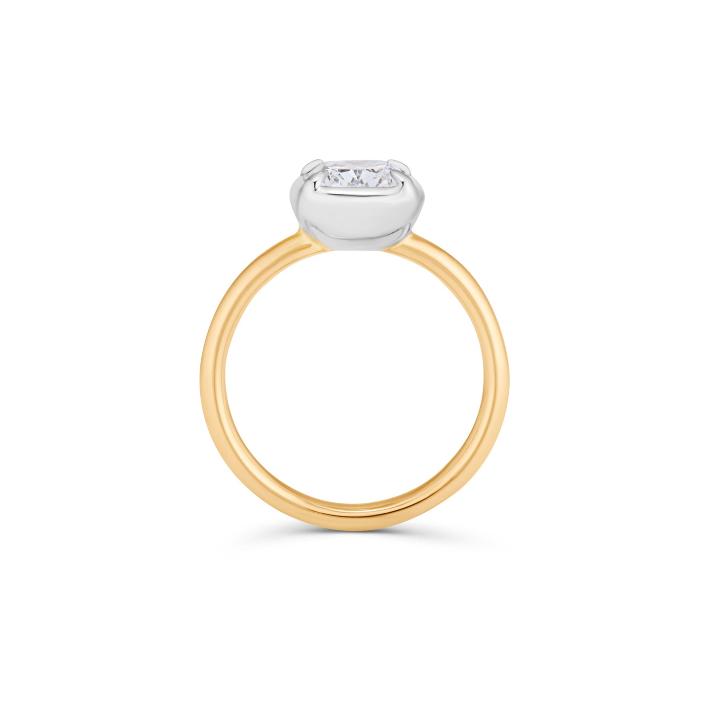 PRESA RING