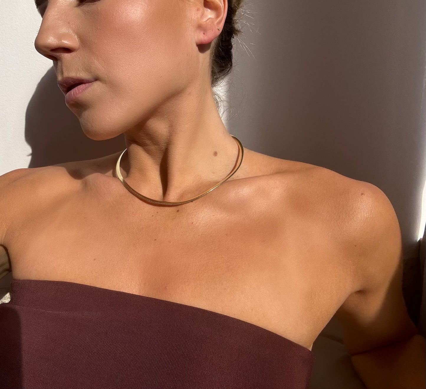 OMEGA TWO-TONE NECKLACE