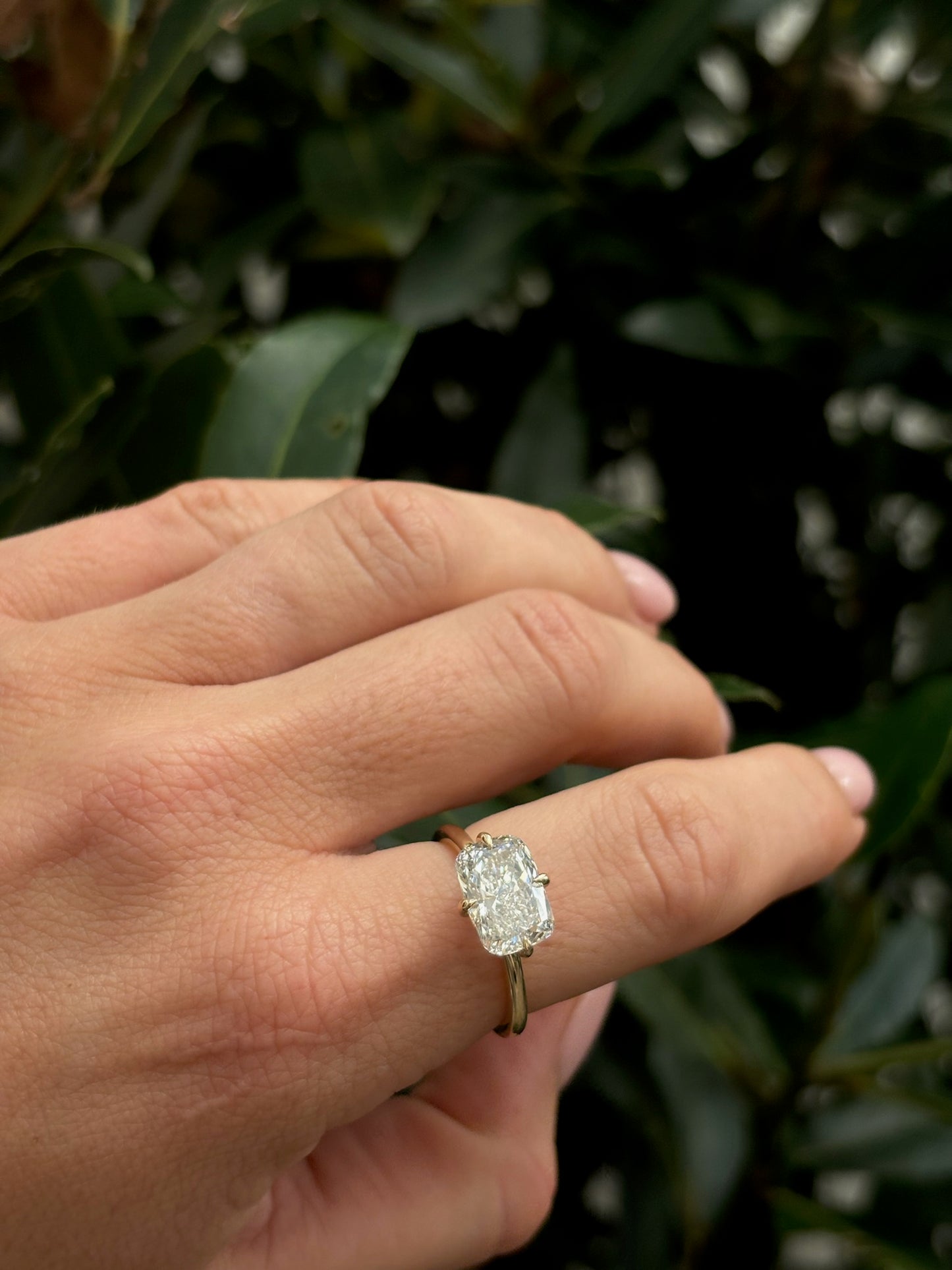 LIA RING