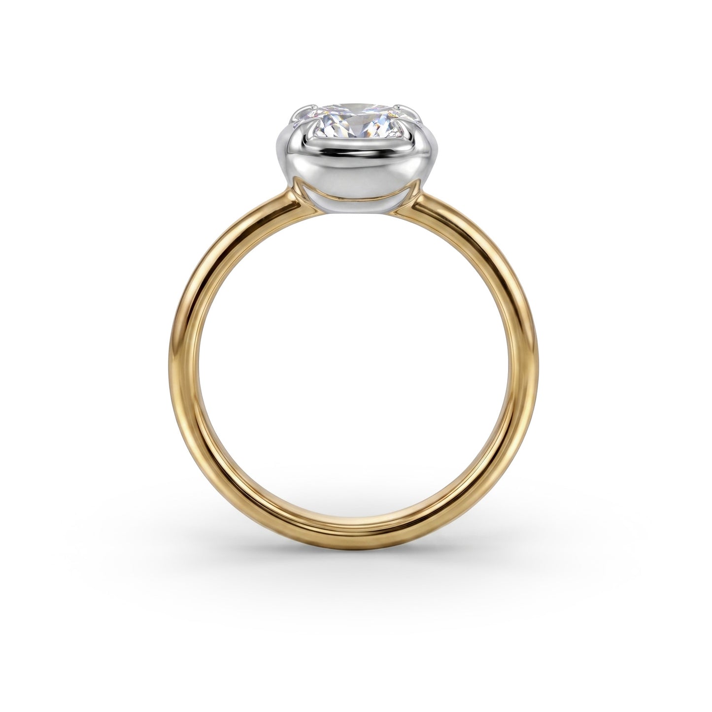 PRESA RING