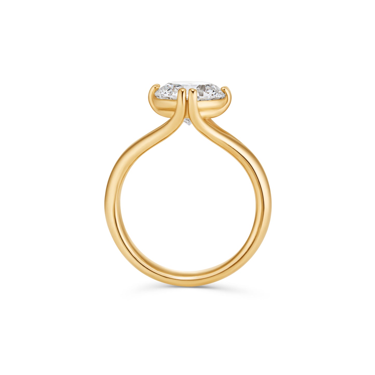 CLEO RING