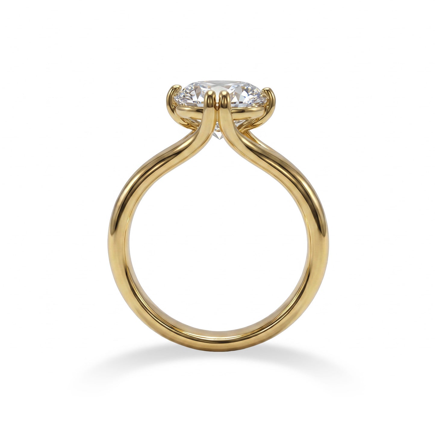 CLEO RING