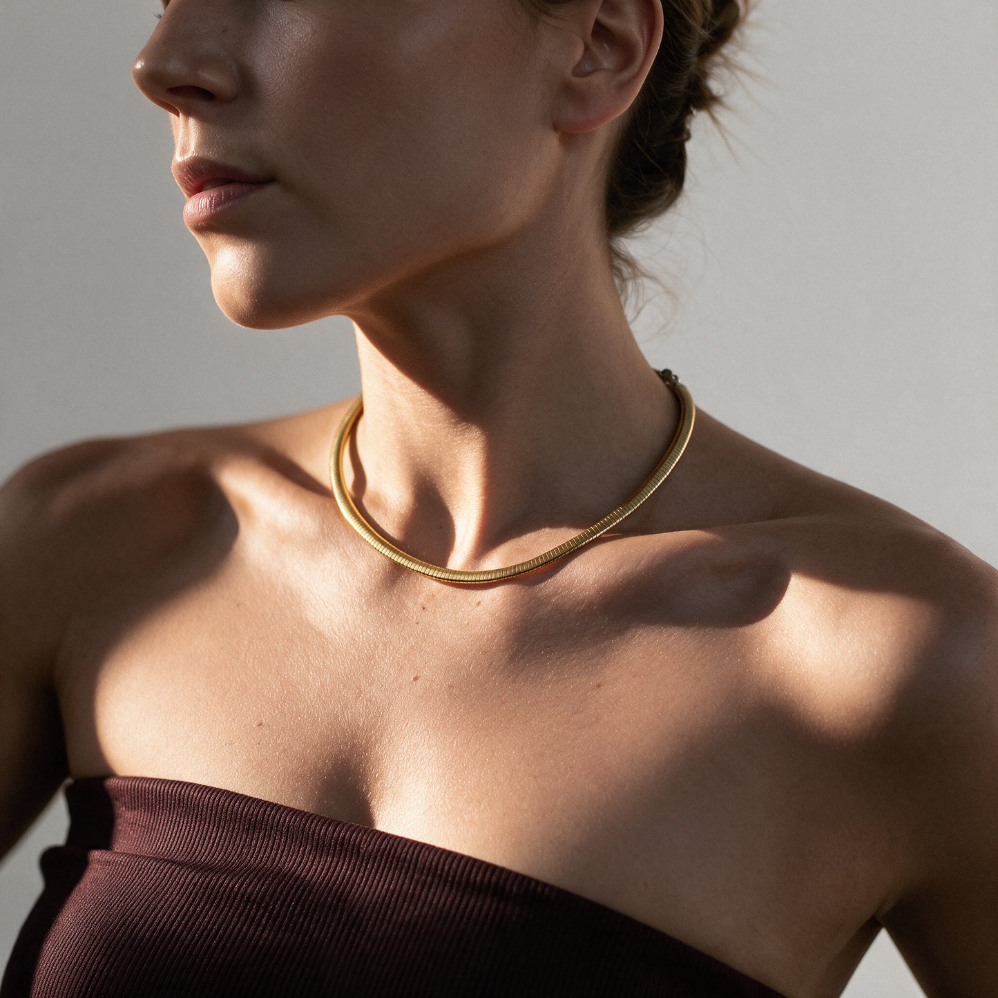 OMEGA TWO-TONE NECKLACE